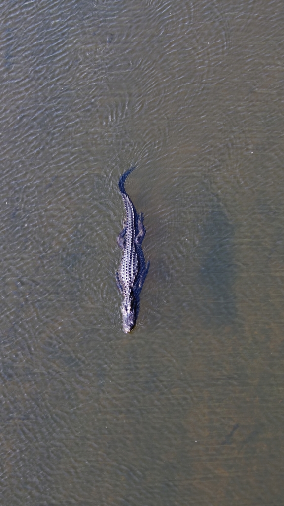 02 - Everglade NP (25).jpg